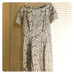 Zebra print dress